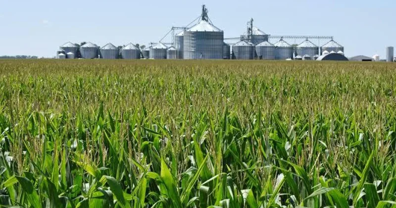 Tramp 12 milyard dollarlıq kənd təsərrüfatı yardımı paketini elan edib