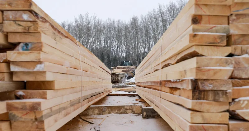 Китай тайно переправляет российскую древесину в Европу Minval Politika