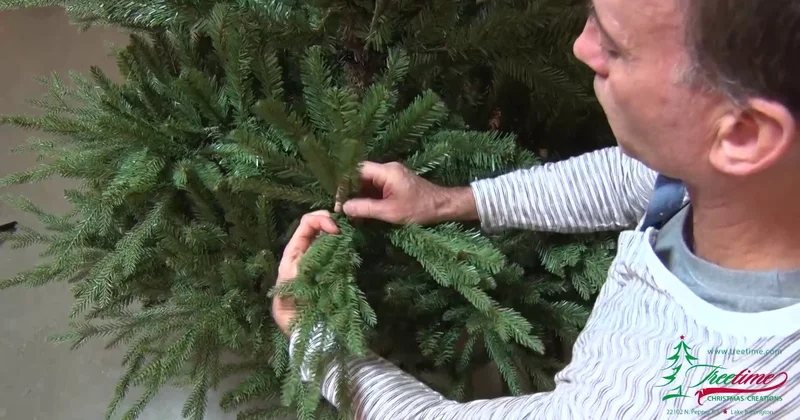 Təbii yolka almaq istəyənlərin diqqətinə QİYMƏTLƏR