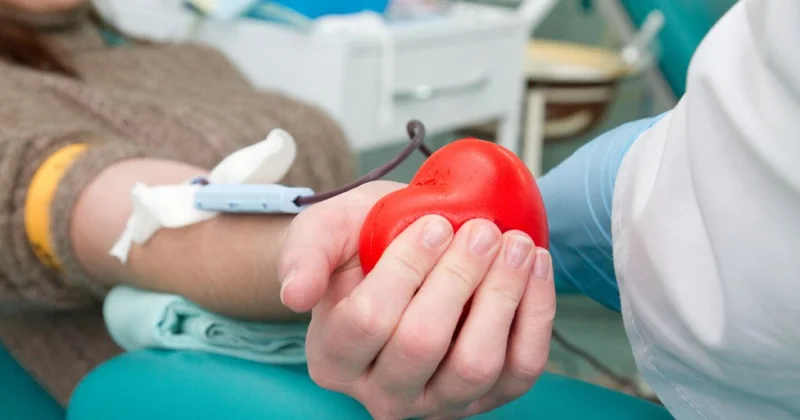 Донорская кровь под усиленным контролем Минздрав о точнейшей технологии тестирования