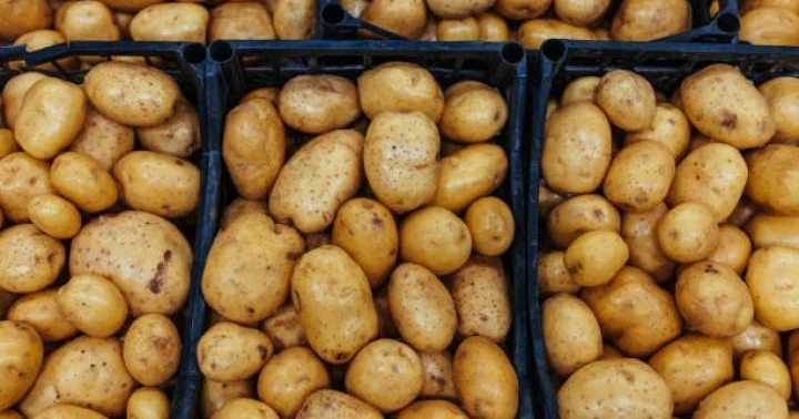 Azərbaycandan kartof ixracı kəskin artıb