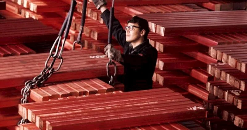 Misin qiyməti rekord həddə çatdı