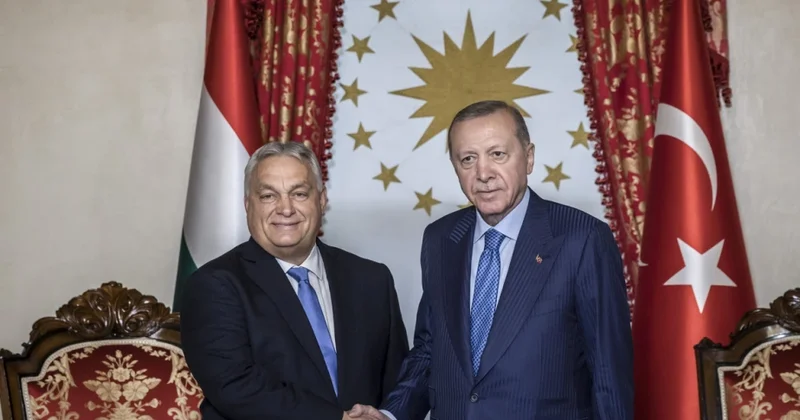 Macarıstan Türkiyəyə 600 at satıb