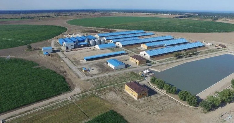 Обнародован общий объем инвестиций в агропарки Азербайджана