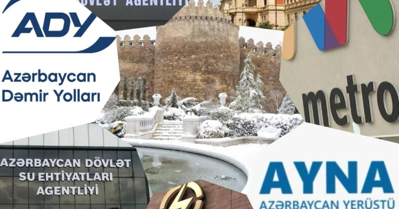 Qurumlar qışa necə hazırlaşır? Açıqlama