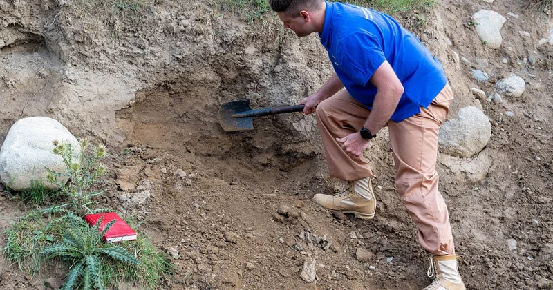 Археологи нашли окаменелость с целыми органами возрастом 520 млн лет