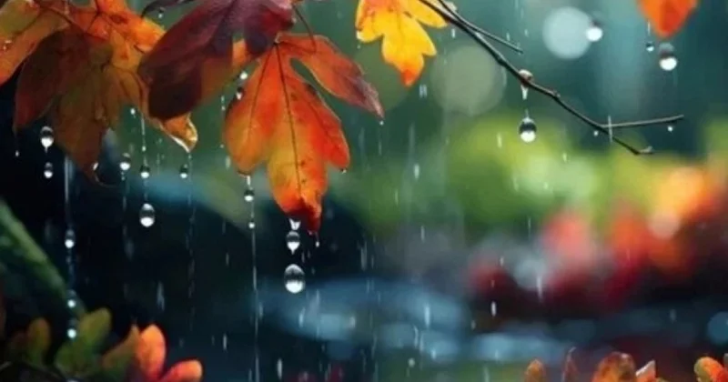 Sabah Azərbaycanın rayonlarında havanın arabir yağıntılı olacağı gözlənilir