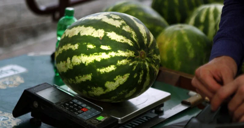 Qarpız almağa getdi, satıcının iPhone 16 Pro telefonunu oğurladı