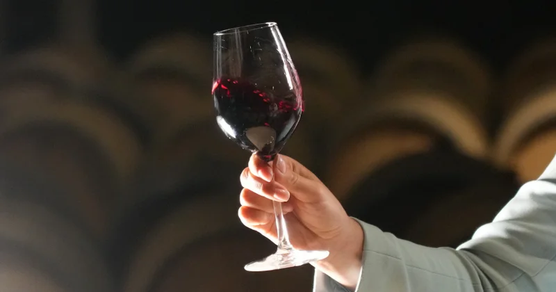 Gündə bir stəkan şərab sağlamlığınız üçün faydalıdırmı?