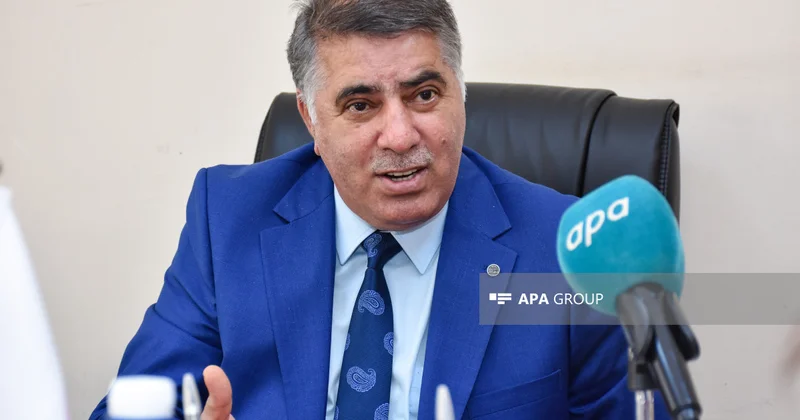 Nadir Məmmədli: Azərbaycan dilinin tərcümə alqoritmləri yaradılmalıdır