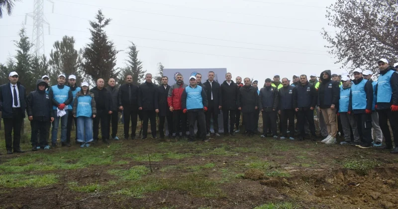 Yasamal rayonunda yeni ekoloji aksiya keçirilib FOTOLAR