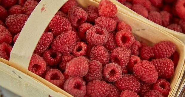 Популярная ягода оказалась защитником сосудов от воспаления