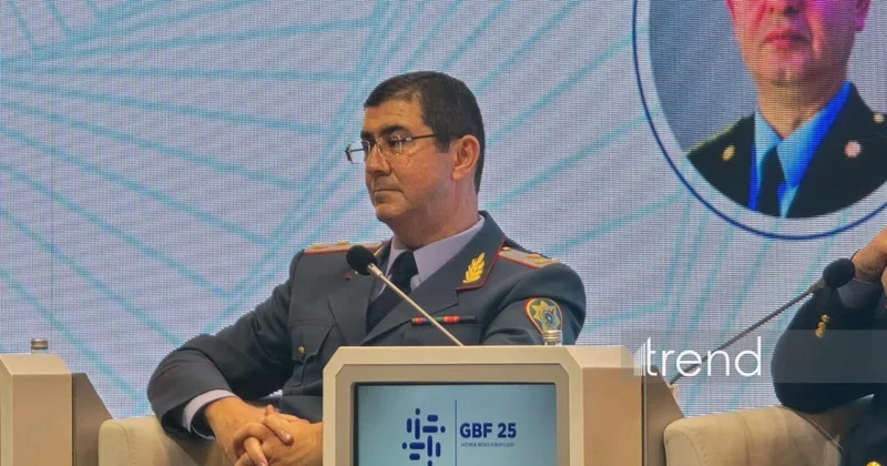 ГТК Азербайджана запускает обновлённую версию системы анализа рисков ARAS Pro