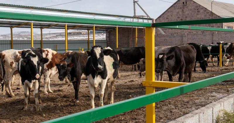 Фермеры столкнутся с бюрократией? Эксперт объяснил новые требования к стройкам