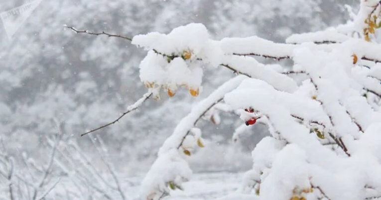 Azərbaycanın dörd bölgəsinə qar yağır