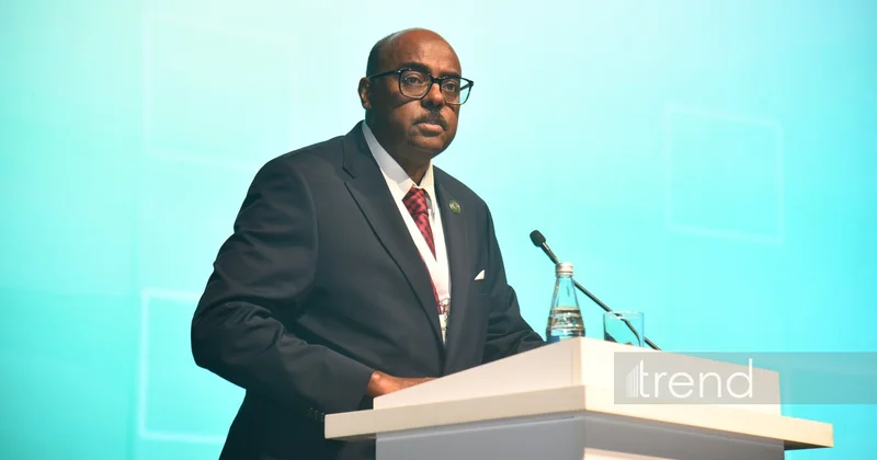 Бакинская Творческая неделя укрепляет сотрудничество и культурное наследие Заместитель генсека ОИС