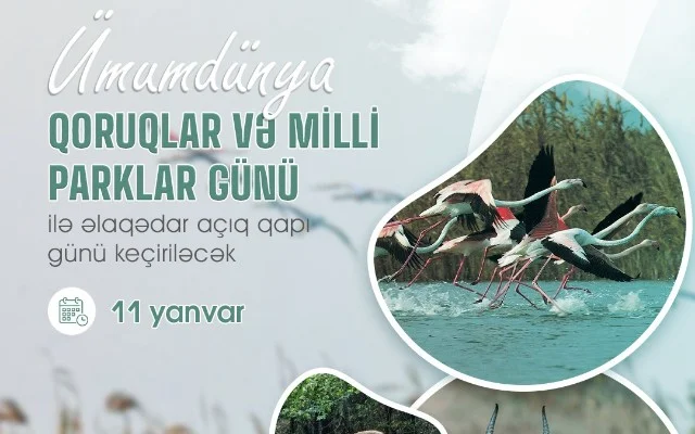 Milli parklarda “açıq qapı” günü keçiriləcək