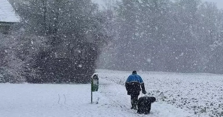Almaniyada son 15 ilin ən sərt qışı müşahidə edilir