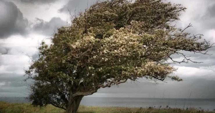 Sabah hava küləkli olacaq XƏBƏRDARLIQ