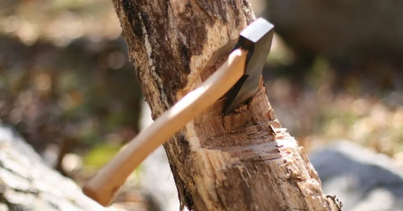 Xətaidə yaşıllıqlar məhv edilir: “Aldatdılar ki, burada park olacaq“