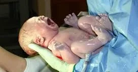 2026 ci ilin ilk həftəsində doğulanlar və ölənlər