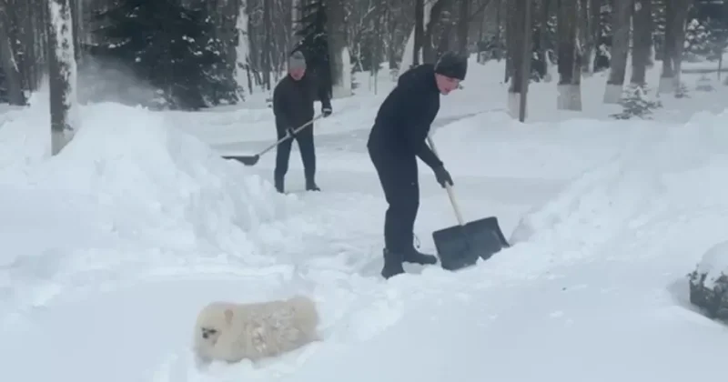 Лукашенко взялся за лопату: ВИДЕО