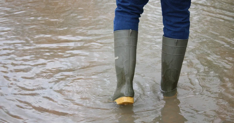 Ожидаются дожди и снег Minval Politika