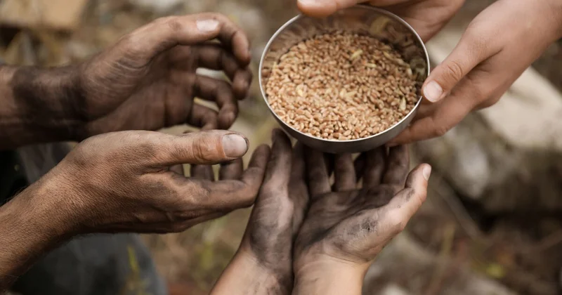 Число голодающих в мире выросло до 673 млн человек