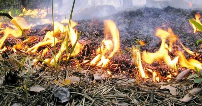 Пожары в Джабраильском и Физулинском районах потушены Minval Politika