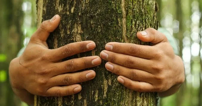 Dünya rekordu vurdu, böyrəkləri sıradan çıxdı