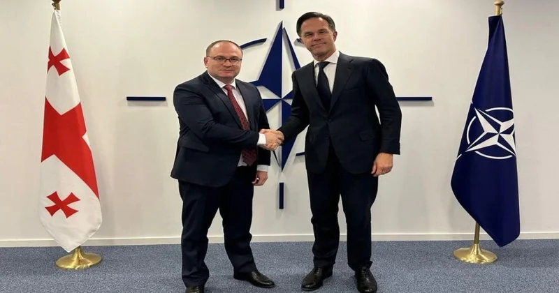 Gürcüstan NATO əməkdaşlığı müzakirə olunub