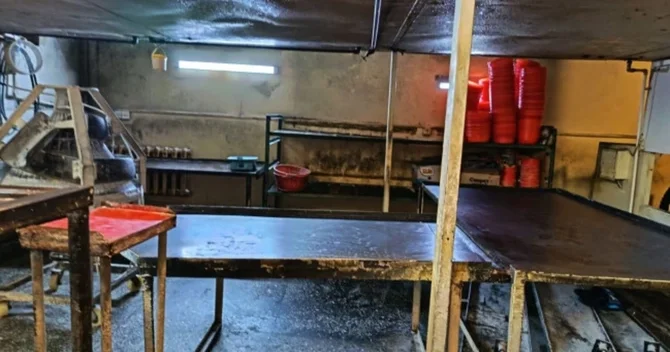 İmişlidə çörək emalı müəssisəsində nöqsanlar aşkarlanıb