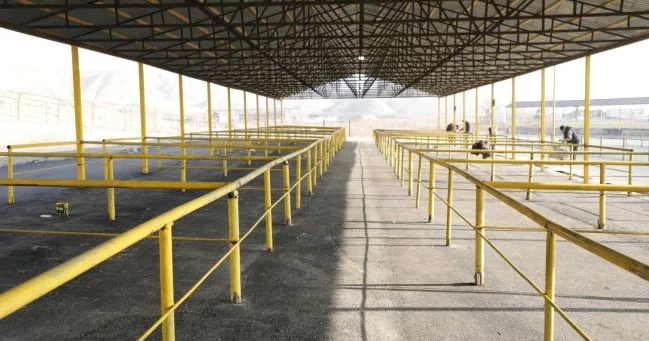 В Азербайджане еще один животноводческий рынок готов к возобновлению работы