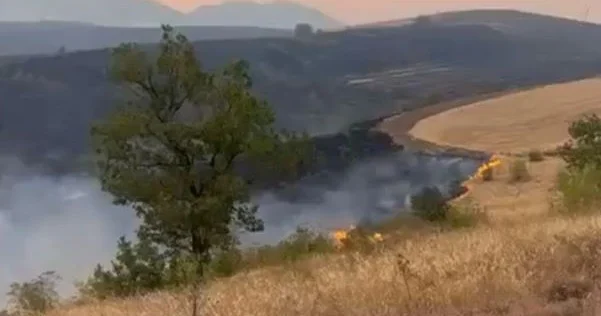 Cəbrayıl və Füzulidə baş verən yanğın söndürülüb