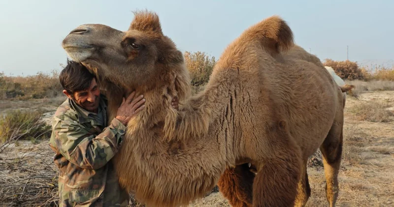Хранители кочевой памяти