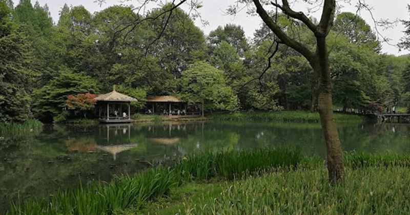 Bu şəhərə zibil atılmır... Fotolar