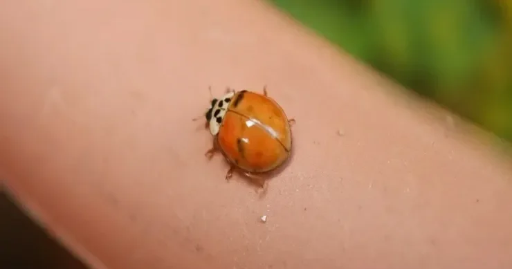 Bu dörd tarixdən birində doğulmusunuzsa... həyatda uğurlusunuz