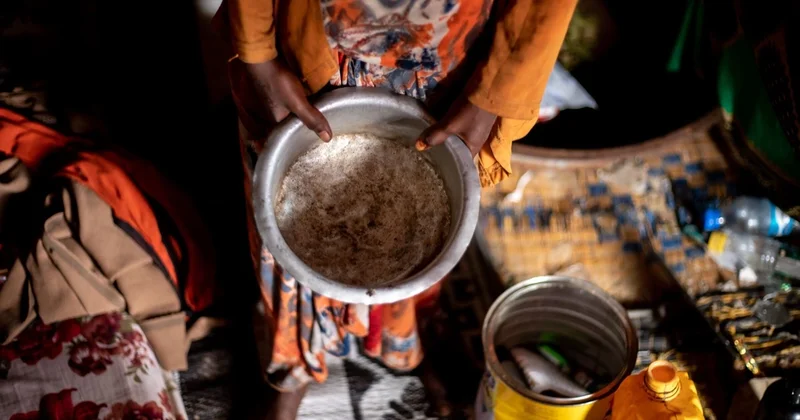 Alimlər bu il aclıq çəkəcək insanların sayını proqnozlaşdırıblar