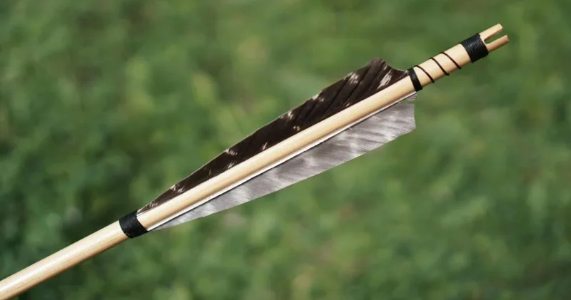 60 min illik zəhərli ox ucluqları kəşf edildi: Bu nə deməkdir?