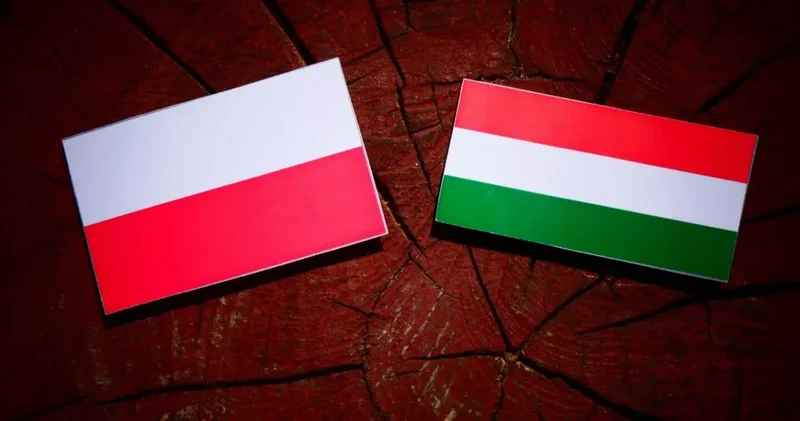 Скандал между Варшавой и Будапештом: дело об убежище