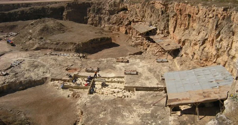 Mərakeş fosilləri bəşəriyyətin ortaq mənşəyinə yeni işıq salır