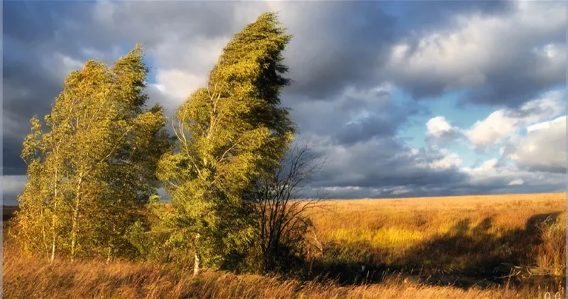 Погода на субботу: В Баку усилится ветер