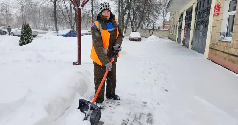 В Беларуси коммунальщики призвали жителей убирать снег