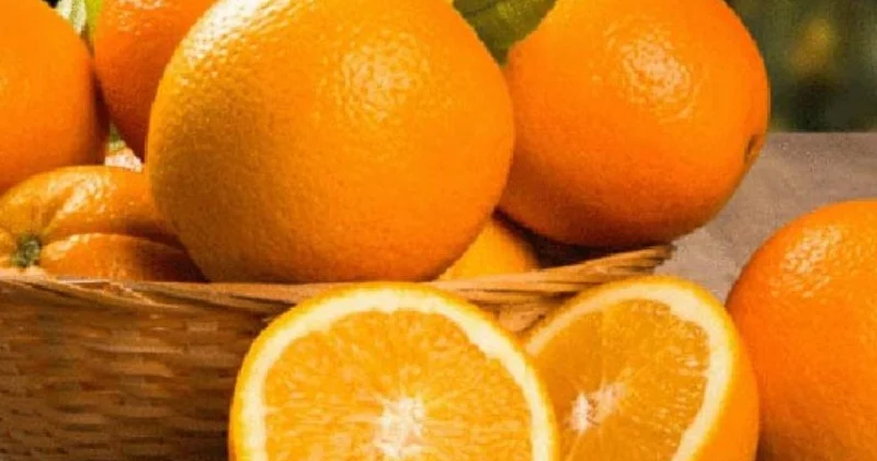 Azərbaycana portağal ən çox İrandan gəlir STATİSTİKA