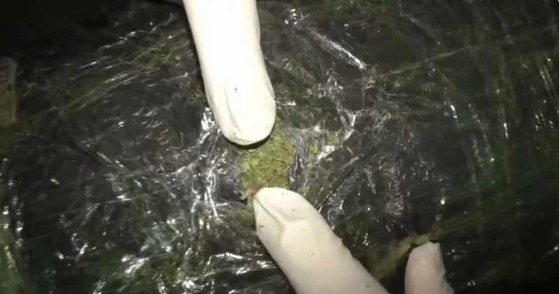 В Сумгайыте у ранее судимых изъяли около 13 кг наркотиков Minval Politika