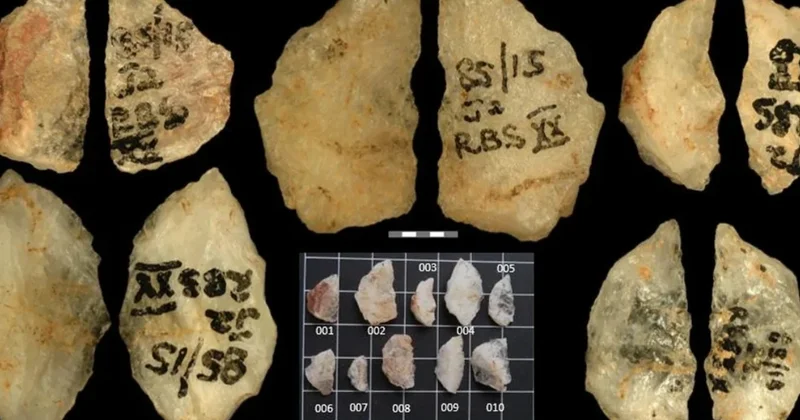 Cənubi Afrikada ən qədim zəhərli silahlar aşkarlanıb