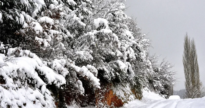 Temperatur 8 dərəcə enəcək, yollar buz bağlayacaq Xəbərdarlıq
