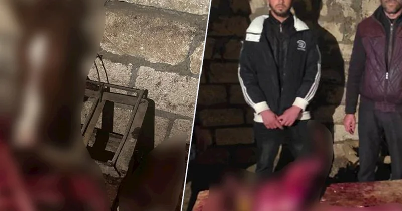 İyrənc fırıldaq üzə çıxdı: 146 kq at ətini mal əti adı ilə bazara buraxmaq istədilər FOTOLAR