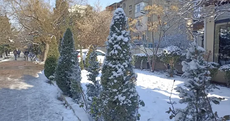 Sabah Bakıya qar yağacaq Əhaliyə XƏBƏRDARLIQ!