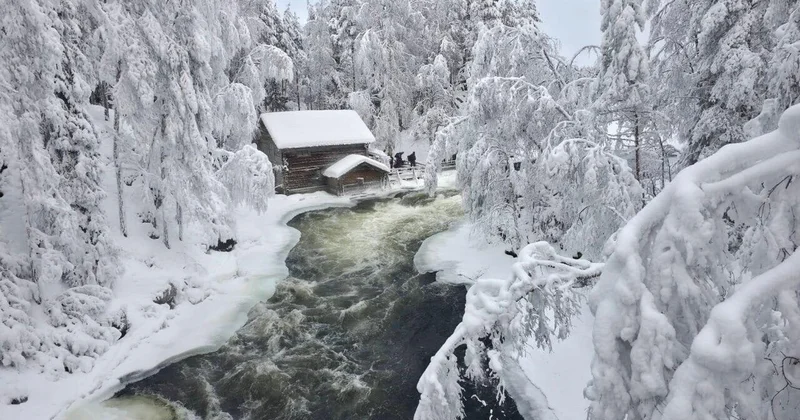 Лапландия превратилась в живую зимнюю сказку ФОТО